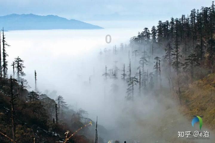 赵樱子认错阿娇后发文,用杨超越的哭照引热议,她的口碑是否会因此受影响?-有问必答平台